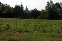 Cjp_2010_06_16_062825 (1).jpg